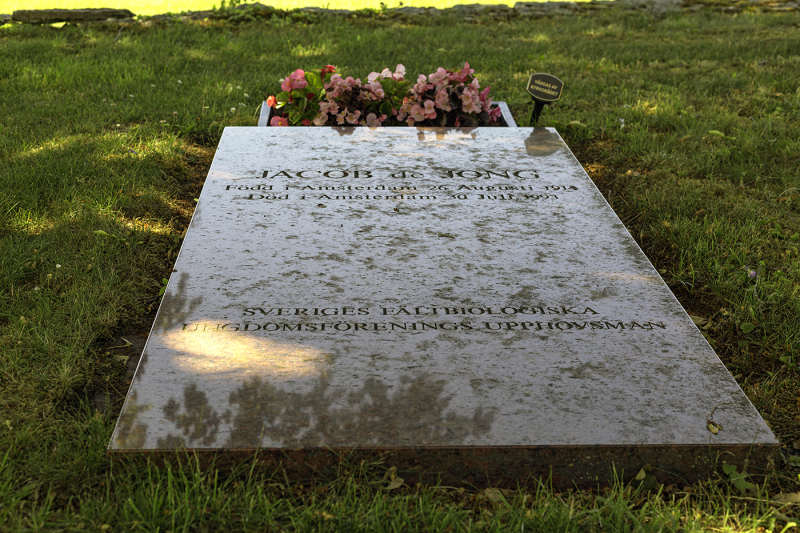 Gravsten - fältbiologernas grundare