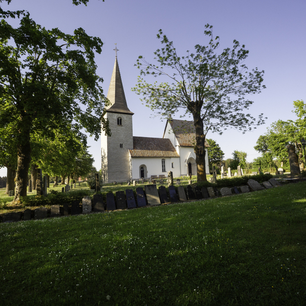 Halla kyrka från söder